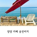 송전비치 | 양양 아이랑카페 송전비치 송전해수욕장 파라솔대여