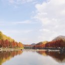대담제과