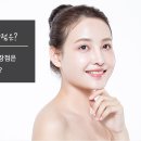 대전선호의원 네이버블로그