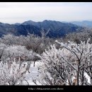 안성면011 이미지