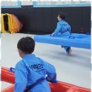 감사랑리더십태권도장 | 울산유치부태권도 우리 아이의 변화는 감사랑태권도 덕분이에요