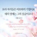 와이즈비젼 이미지