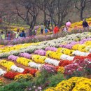 남산공원(회차장) 이미지