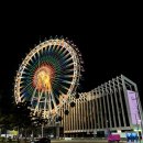 회밀리가떴다 이미지