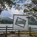 소나무와 호수 이미지