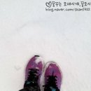 아이스빈 이미지