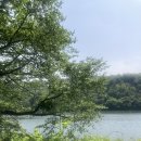 호암미술관 &lt;진흙에 물들지 않는 연꽃처럼&gt; 불교 미술 전시 (매우) 뒤늦은 후기🏃🏻‍♀️