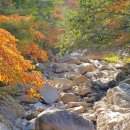 서리마을2길 이미지