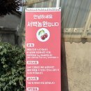경주농장 | 6월 아이랑 가볼만한곳 경주 체리 따기 농장 체험 서백농원