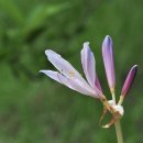 친구반점 이미지