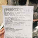 최고야 | 명동아침 맛집 찾는다면 전복죽 제대로인 명동조식 죽이최고야 후기