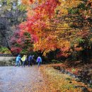 무등회관 이미지