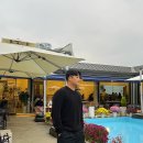 [주말 데이트] 분당 대형카페 / 애견동반 가능한 도넛 맛집 :: 카페 도넛드로잉