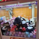 인하놀이터