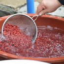 상옥농장 이미지