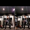 레몬트리짐 이미지