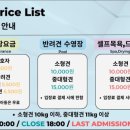 파라다이스 독 이미지