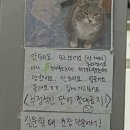 루우루우 네이버블로그