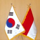 인니-한국용병들 입단계약할 때 주의 점 이미지