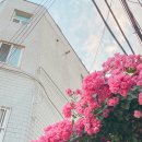 충곡농장 이미지