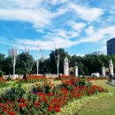 강남번역 이미지