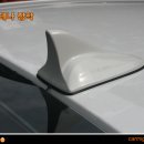 카미고