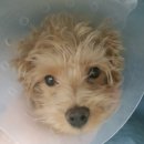 만수동물병원 이미지