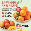 오데이 이미지