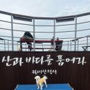 월미공원 전망대 화장실 | 인천 월미도 월미공원 강아지 산책하기 좋은곳/ 3월 벚꽃명소/가족나들이/데이트 장소/주차