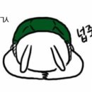 기능성신발 이미지
