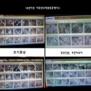 팜퓨리 일산본점 이미지