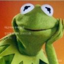 태승카 | 2025 마지막 그리고 2026 첫 날 까지, 그리고 앞으로도 내가 오타쿠라고??