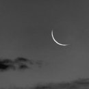 멍멍하니? 이미지