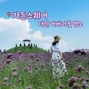버베나하우스 | [태안] 수국축제 근처 숨은 버베나꽃 명소 “가든스퀘어” | 애견동반 가능한 꽃 명소 · 태안 가볼만한...