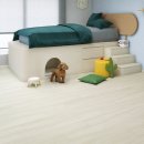 (주)마루펫 이미지