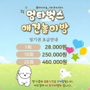 멍타벅스 광주 애견유치원 & 무인 애견카페 | 광주 24시 애견카페 운암동 멍타벅스 이용솔직후기(무인)