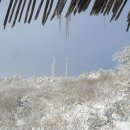 1월04일(토)[07:00출발]전남 광주 국립공원 무등산(해발1,187m) 새인봉 눈꽃산행 이미지