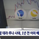 예견됐던 &#39;테라·루나 사태&#39;…국세청, 시세조종 정황도 포착했었다 이미지