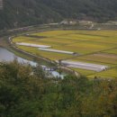 황금들 농장 이미지