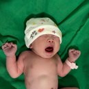 해담어린이집 | welcome⸝ 꼬망 !