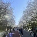 자유수호평화박물관 엔디엔뉴스