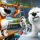 (주)펫키즈 이미지