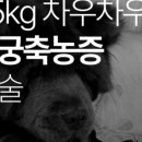 대웅동물병원 이미지