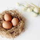 동일농장 이미지