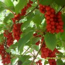 김진득 농장 이미지