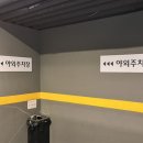 호텔 밴드(HOTEL BAND) 이미지