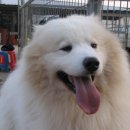 초곡1리 이미지