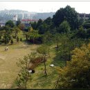 가톨릭대학교 성심교정 이미지