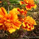 헌수농장 이미지