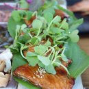 대성수족관 이미지